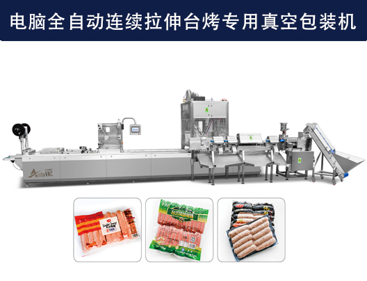 DLZ-520/620電腦全自動(dòng)連續(xù)拉伸臺(tái)烤專用真空包裝機(jī)